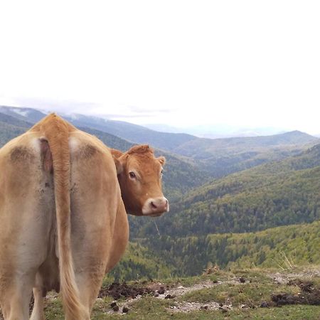 Altxabi Apartamento Rural Ochagavía エクステリア 写真